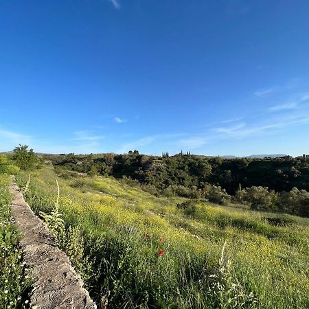 Villa Ignacia B&B - Naturaleza Entre Ronda Y Setenil Arriate Kültér fotó