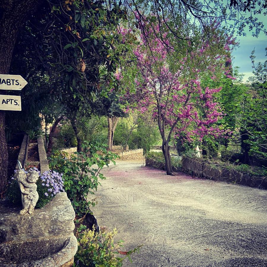 Villa Ignacia B&B - Naturaleza Entre Ronda Y Setenil Arriate Kültér fotó