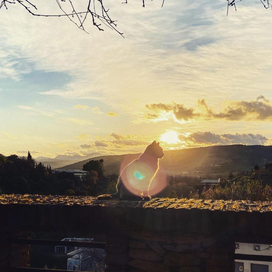 Villa Ignacia B&B - Naturaleza Entre Ronda Y Setenil Arriate Kültér fotó