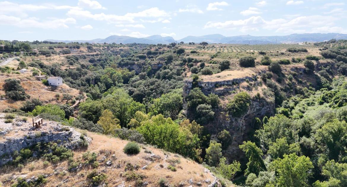 Villa Ignacia B&B - Naturaleza Entre Ronda Y Setenil Arriate Kültér fotó