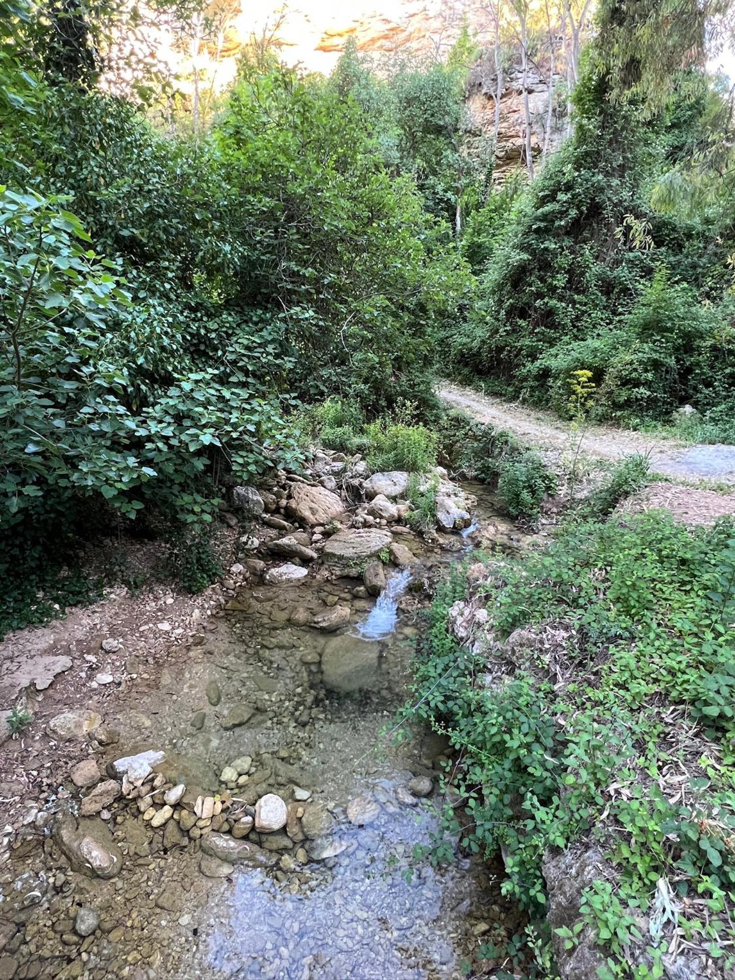 Villa Ignacia B&B - Naturaleza Entre Ronda Y Setenil Arriate Kültér fotó